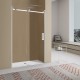1170*1950mm Chrome Frameless Shower Door Only