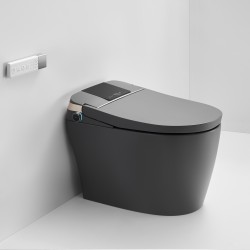 690x395x490mm One Piece Intelligent Electric Smart Toilet Automatic Instant Heating Matt Grey