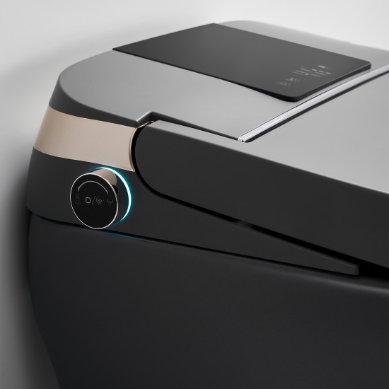 690x395x490mm One Piece Intelligent Electric Smart Toilet Automatic Instant Heating Matt Grey