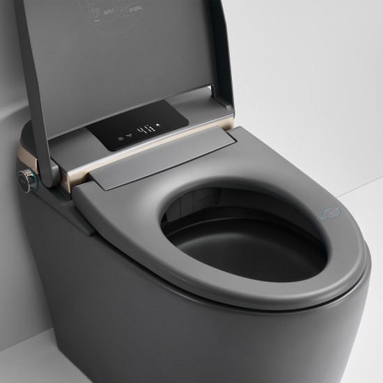 690x395x490mm One Piece Intelligent Electric Smart Toilet Automatic Instant Heating Matt Grey