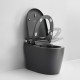 690x395x490mm One Piece Intelligent Electric Smart Toilet Automatic Instant Heating Matt Grey