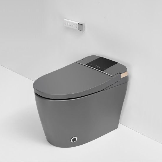 690x395x490mm One Piece Intelligent Electric Smart Toilet Automatic Instant Heating Matt Grey