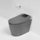 690x395x490mm One Piece Intelligent Electric Smart Toilet Automatic Instant Heating Matt Grey