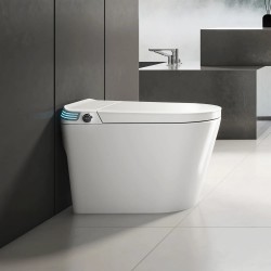 680x395x475mm One Piece Intelligent Electric Smart Toilet Automatic Instant Heating