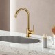 Euro Round Brushed Yellow Gold Kitchen Sink Mixer Tap 360° Swivel