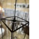 Black frame with clear glass cylinder shape pendant light