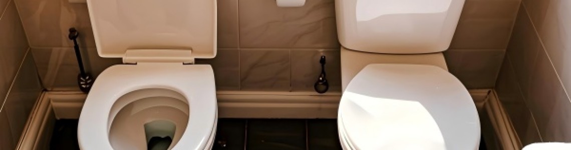 Dual Flush vs Single Flush Toilets: NZ Buying Guide 2025